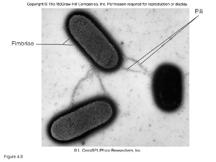 Figure 4. 8 