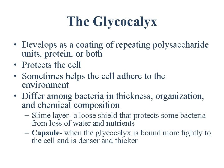 The Glycocalyx • Develops as a coating of repeating polysaccharide units, protein, or both