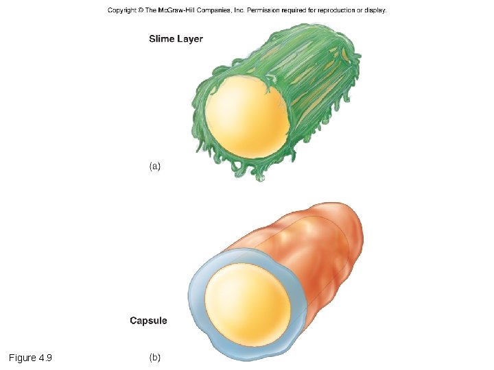 Figure 4. 9 