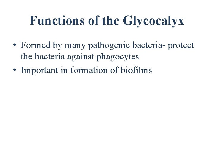 Functions of the Glycocalyx • Formed by many pathogenic bacteria- protect the bacteria against