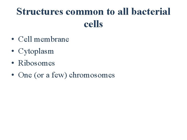 Structures common to all bacterial cells • • Cell membrane Cytoplasm Ribosomes One (or