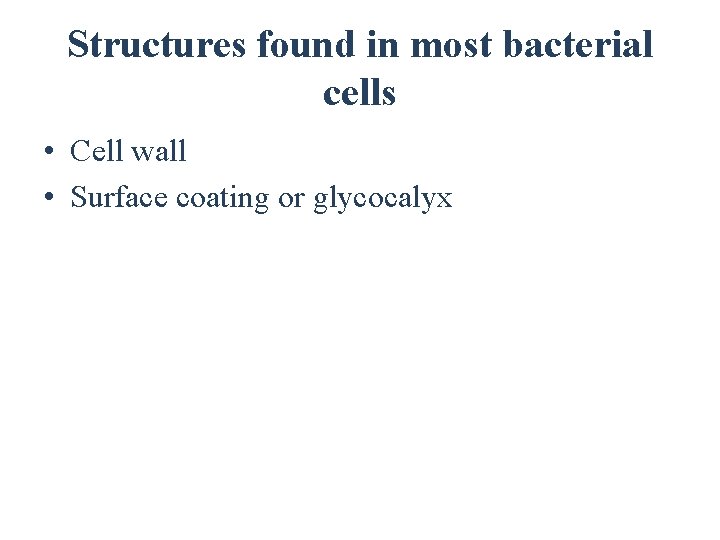 Structures found in most bacterial cells • Cell wall • Surface coating or glycocalyx