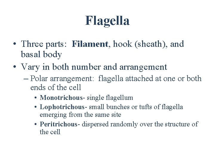 Flagella • Three parts: Filament, hook (sheath), and basal body • Vary in both