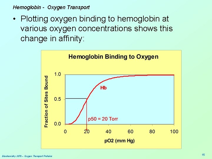 Hemoglobin - Oxygen Transport • Plotting oxygen binding to hemoglobin at various oxygen concentrations