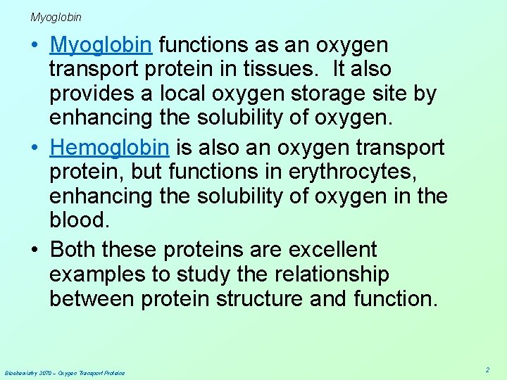 Myoglobin • Myoglobin functions as an oxygen transport protein in tissues. It also provides