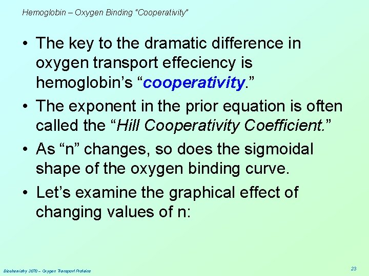 Hemoglobin – Oxygen Binding “Cooperativity” • The key to the dramatic difference in oxygen