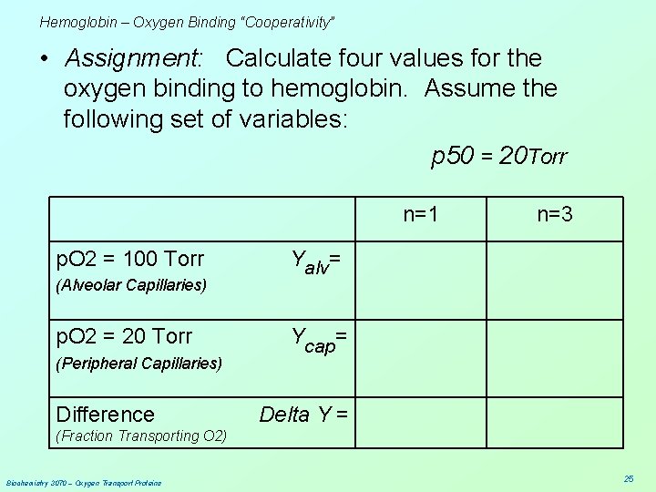 Hemoglobin – Oxygen Binding “Cooperativity” • Assignment: Calculate four values for the oxygen binding