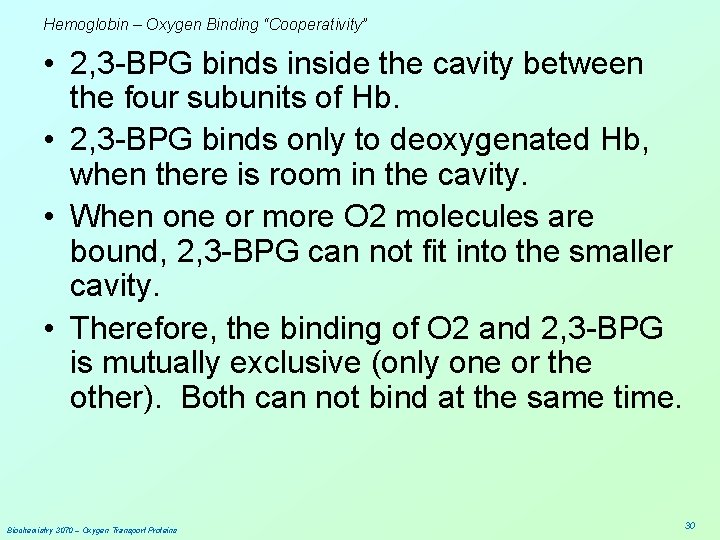 Hemoglobin – Oxygen Binding “Cooperativity” • 2, 3 -BPG binds inside the cavity between