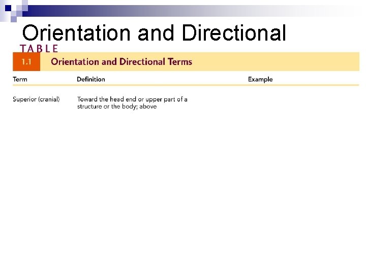Orientation and Directional Terms 