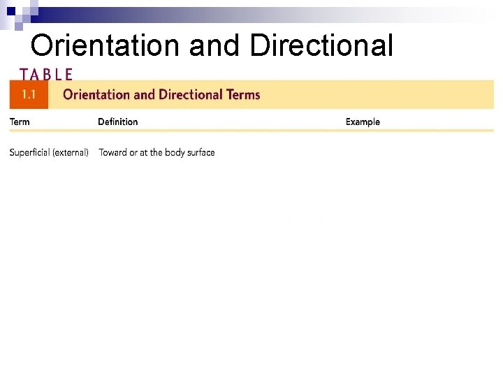 Orientation and Directional Terms 