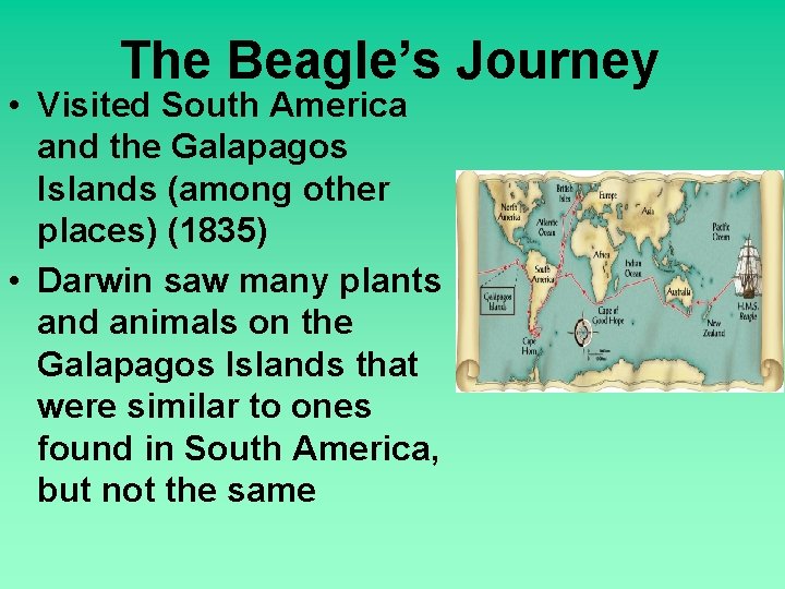 The Beagle’s Journey • Visited South America and the Galapagos Islands (among other places)