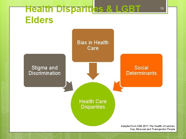 Health Disparities & LGBT Elders 19 Bias in Health Care Stigma and Discrimination Social