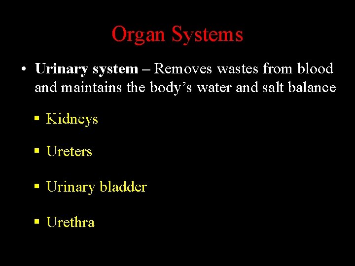 Organ Systems • Urinary system – Removes wastes from blood and maintains the body’s