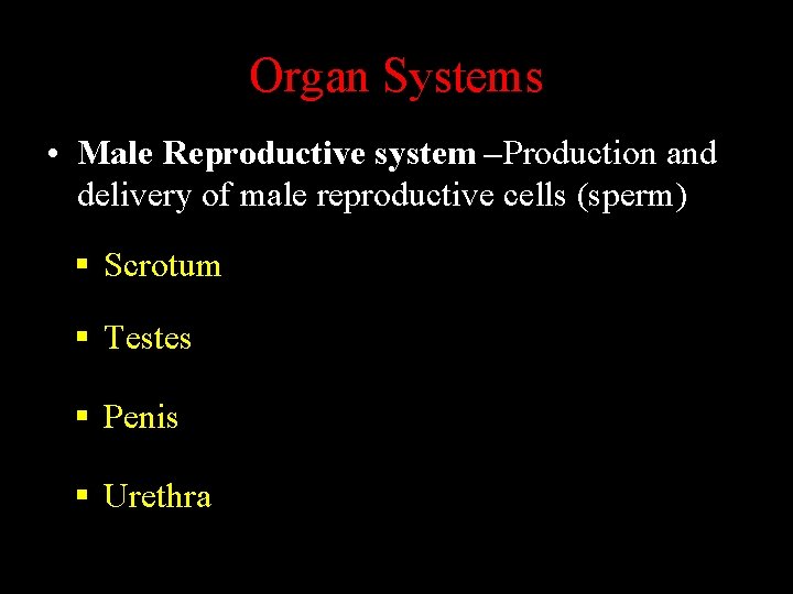 Organ Systems • Male Reproductive system –Production and delivery of male reproductive cells (sperm)