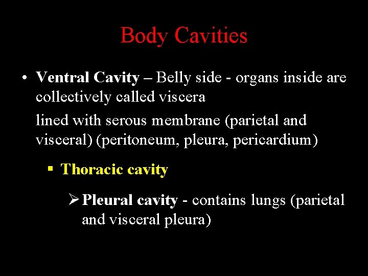 Body Cavities • Ventral Cavity – Belly side - organs inside are collectively called