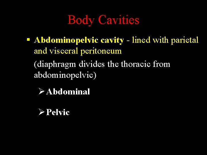 Body Cavities § Abdominopelvic cavity - lined with parietal and visceral peritoneum (diaphragm divides