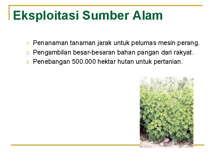 Eksploitasi Sumber Alam 1. 2. 3. Penanaman tanaman jarak untuk pelumas mesin perang. Pengambilan