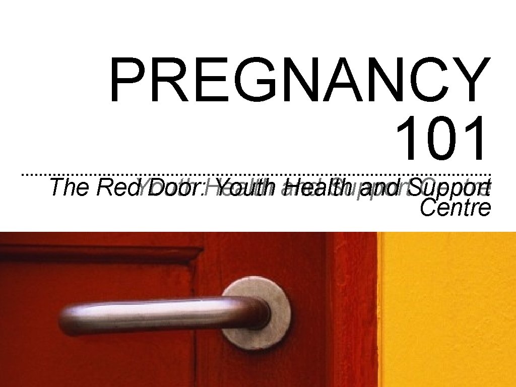 PREGNANCY 101 The Red. Youth Door: Health Youth and Health Support and Support Centre