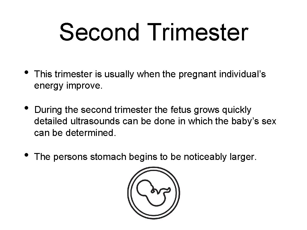 Second Trimester • This trimester is usually when the pregnant individual’s energy improve. •