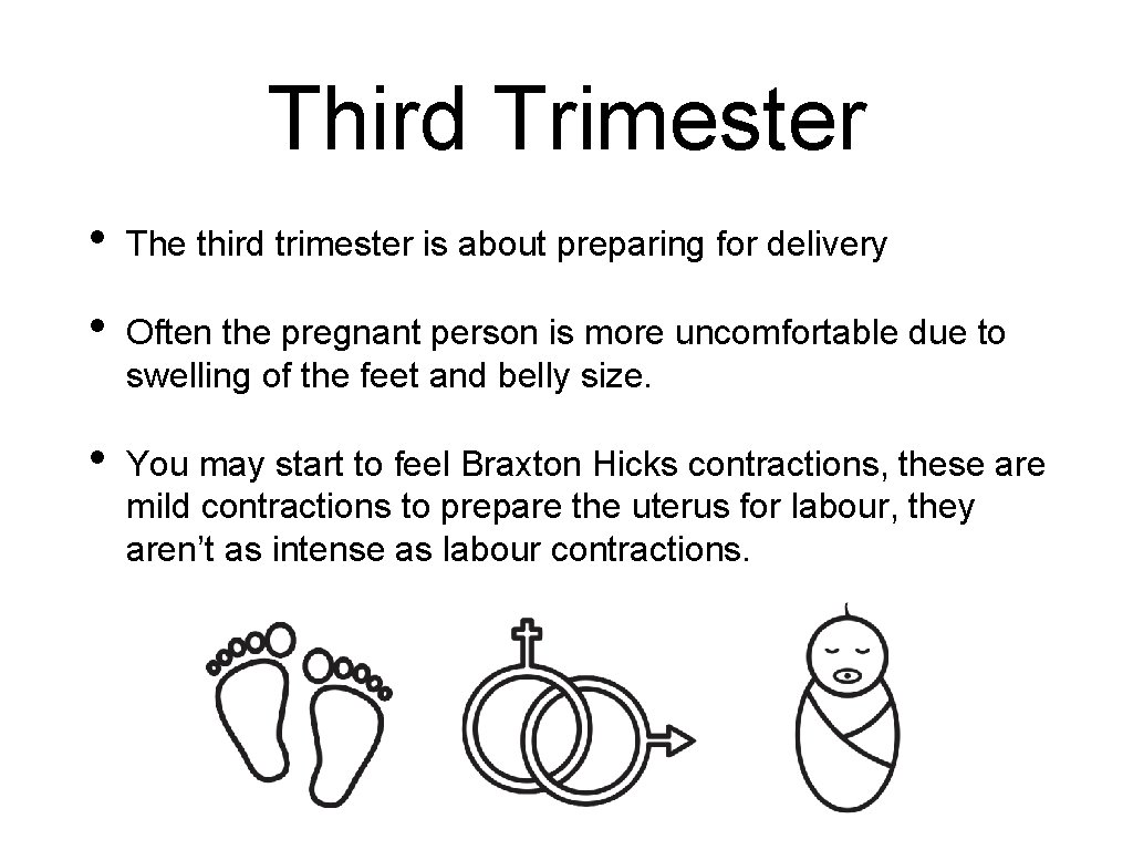 Third Trimester • The third trimester is about preparing for delivery • Often the