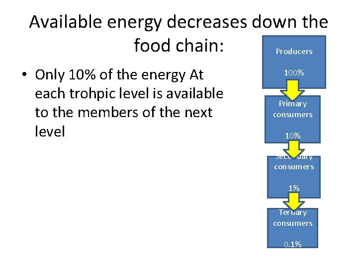 Available energy decreases down the food chain: Producers • Only 10% of the energy