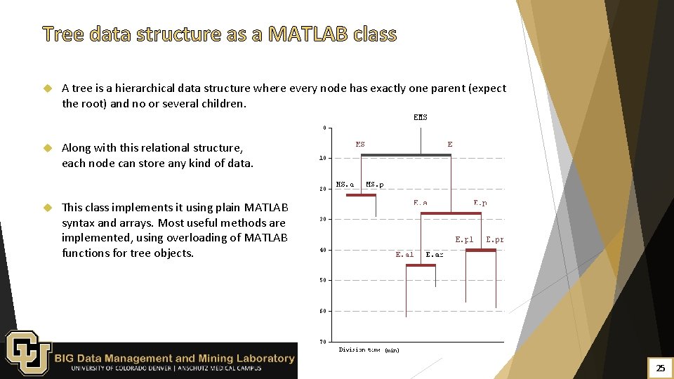  A tree is a hierarchical data structure where every node has exactly one