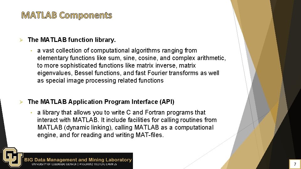 Ø The MATLAB function library. • Ø a vast collection of computational algorithms ranging