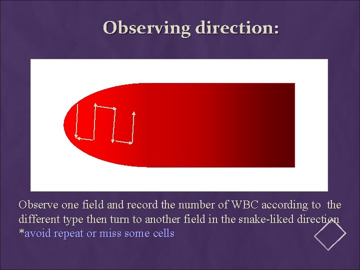 Observing direction: Observe one field and record the number of WBC according to the