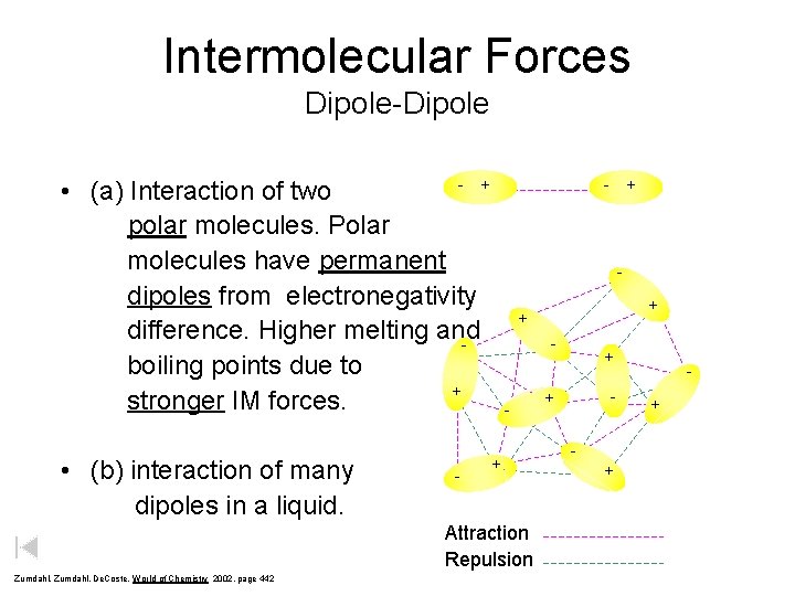 Intermolecular Forces Dipole-Dipole - + • (a) Interaction of two polar molecules. Polar molecules