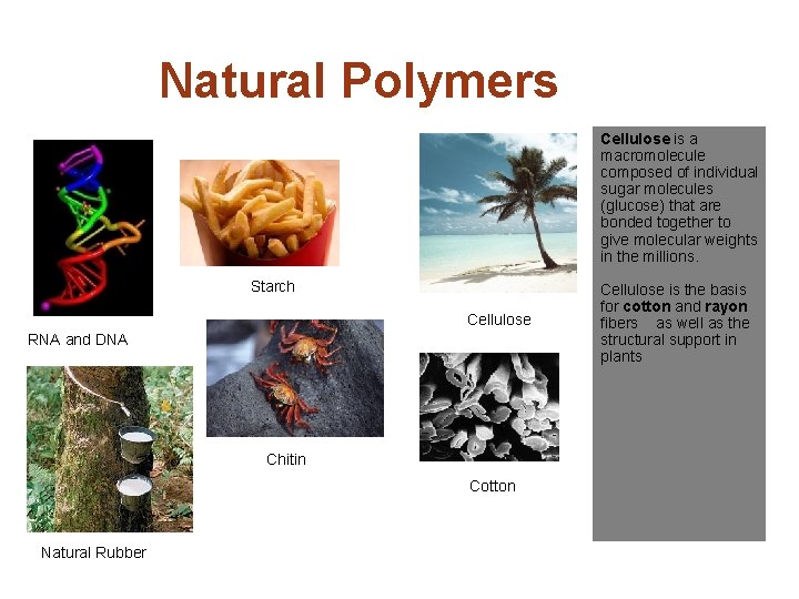 Natural Polymers Cellulose is a macromolecule composed of individual sugar molecules (glucose) that are