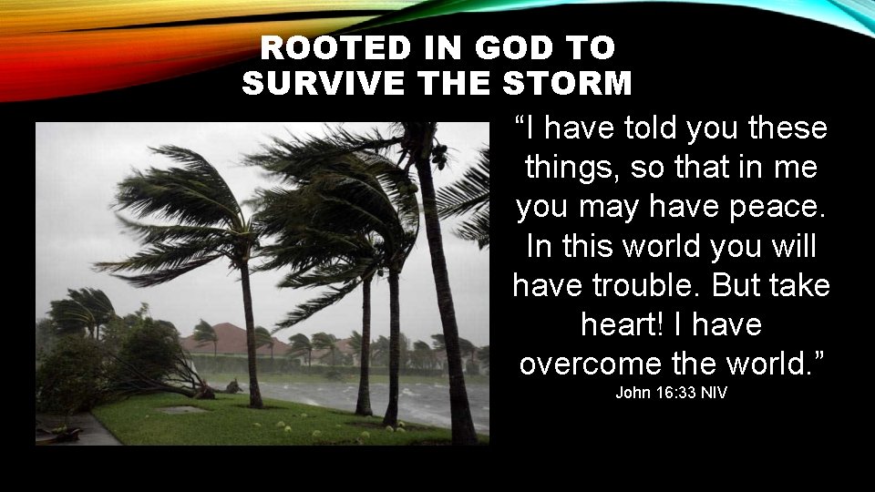 ROOTED IN GOD TO SURVIVE THE STORM “I have told you these things, so