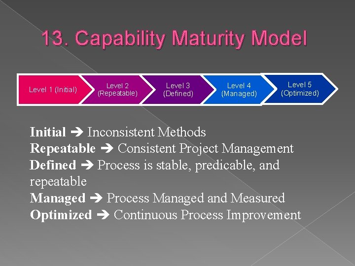 13. Capability Maturity Model Level 1 (Initial) Level 2 (Repeatable) Level 3 (Defined) Level