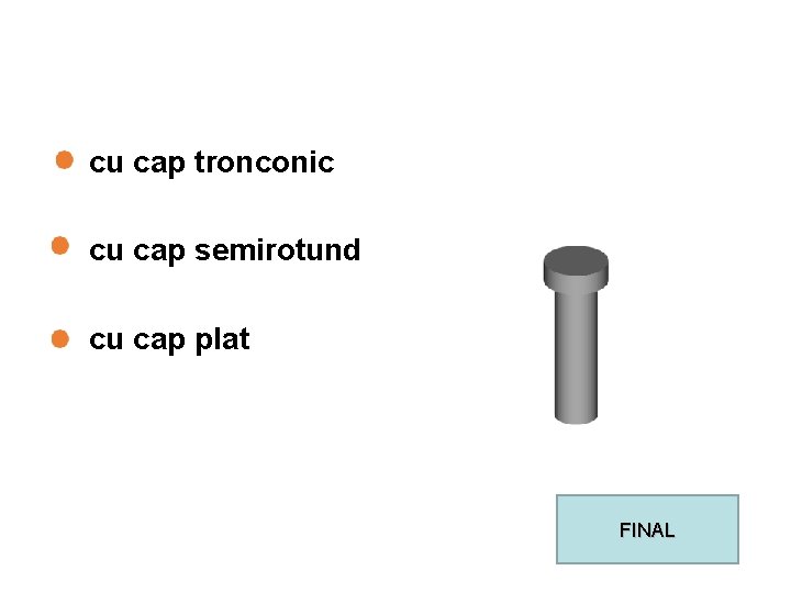 cu cap tronconic cu cap semirotund cu cap plat FINAL 
