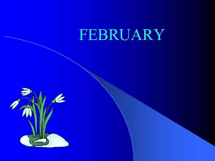 FEBRUARY 