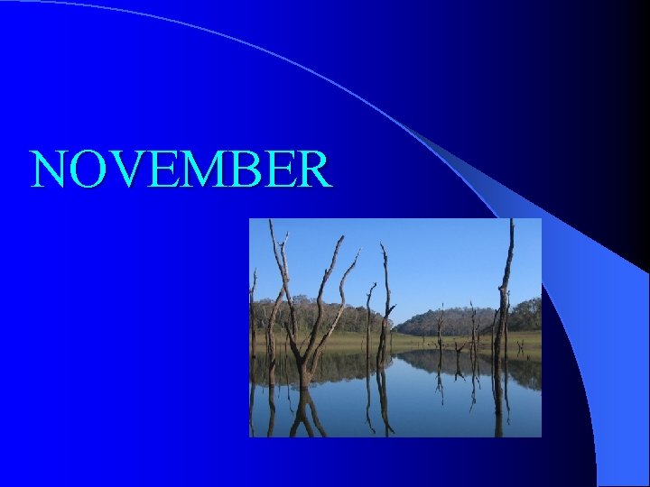 NOVEMBER 