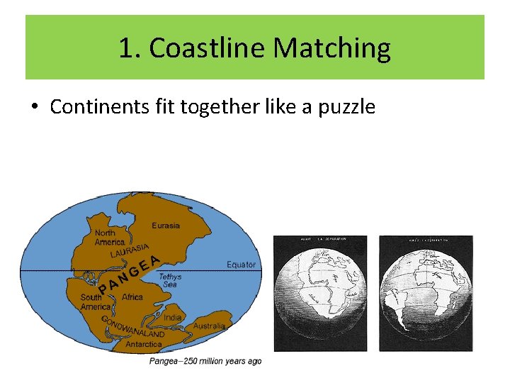 1. Coastline Matching • Continents fit together like a puzzle 