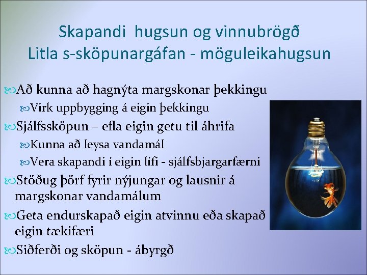 Skapandi hugsun og vinnubrögð Litla s-sköpunargáfan - möguleikahugsun Að kunna að hagnýta margskonar þekkingu