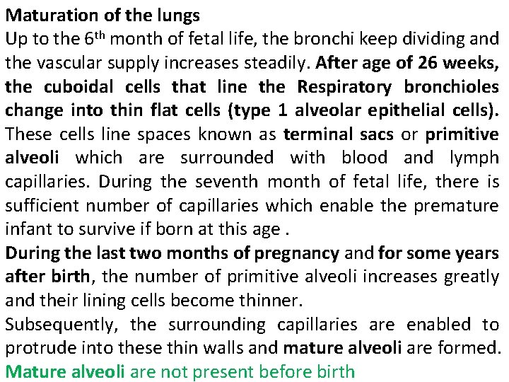 Maturation of the lungs Up to the 6 th month of fetal life, the