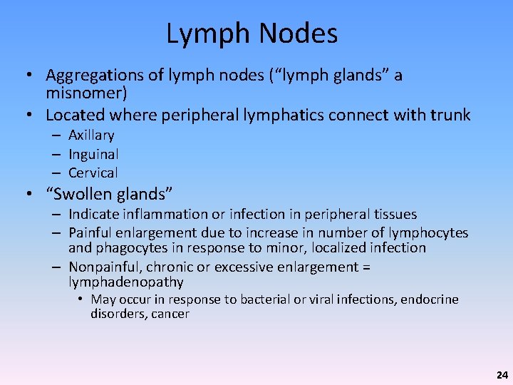 Lymph Nodes • Aggregations of lymph nodes (“lymph glands” a misnomer) • Located where