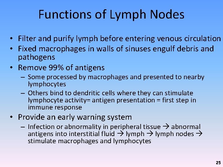 Functions of Lymph Nodes • Filter and purify lymph before entering venous circulation •