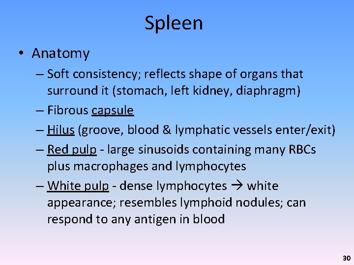 Spleen • Anatomy – Soft consistency; reflects shape of organs that surround it (stomach,