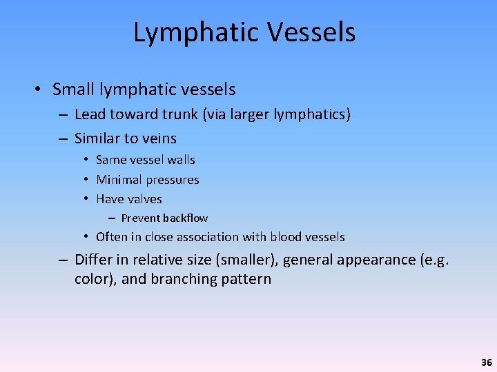 Lymphatic Vessels • Small lymphatic vessels – Lead toward trunk (via larger lymphatics) –