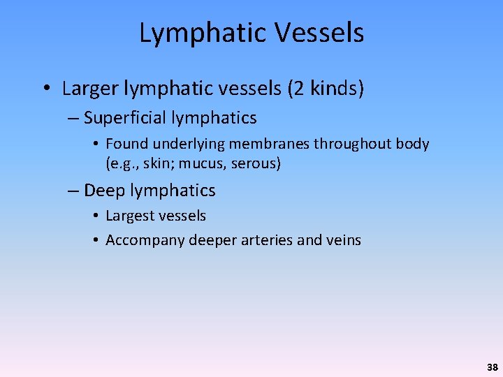Lymphatic Vessels • Larger lymphatic vessels (2 kinds) – Superficial lymphatics • Found underlying
