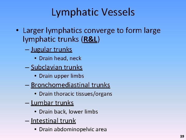 Lymphatic Vessels • Larger lymphatics converge to form large lymphatic trunks (R&L) – Jugular