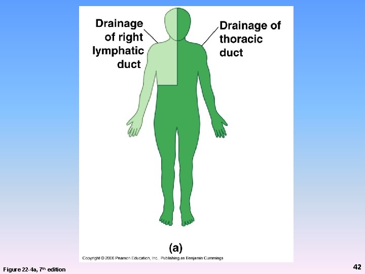 Figure 22 -4 a, 7 th edition 42 