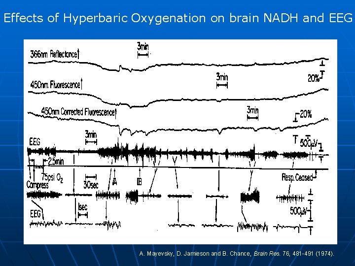 Effects of Hyperbaric Oxygenation on brain NADH and EEG A. Mayevsky, D. Jamieson and