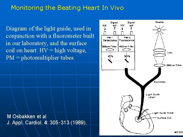 Monitoring the Beating Heart In Vivo Diagram of the light guide, used in conjunction
