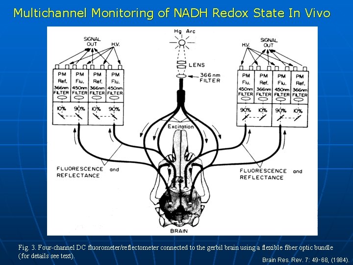 Multichannel Monitoring of NADH Redox State In Vivo Fig. 3. Four-channel DC fluorometer/reflectometer connected