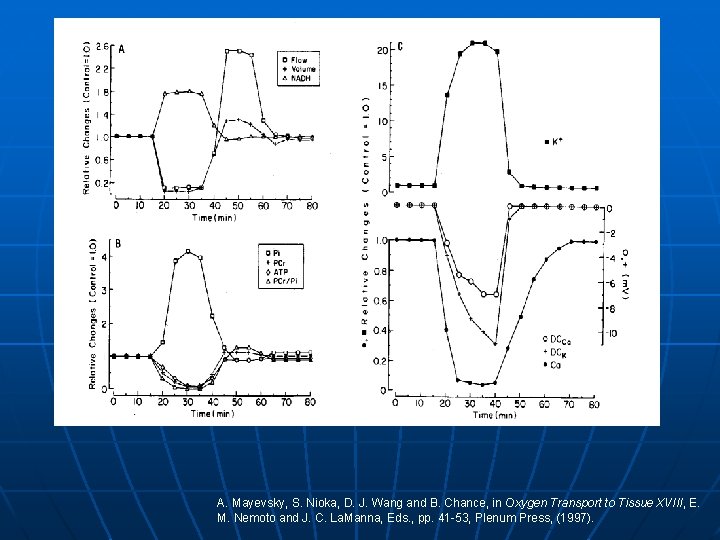 A. Mayevsky, S. Nioka, D. J. Wang and B. Chance, in Oxygen Transport to