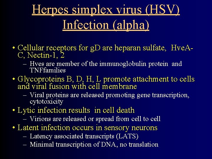 Herpes simplex virus (HSV) Infection (alpha) • Cellular receptors for g. D are heparan
